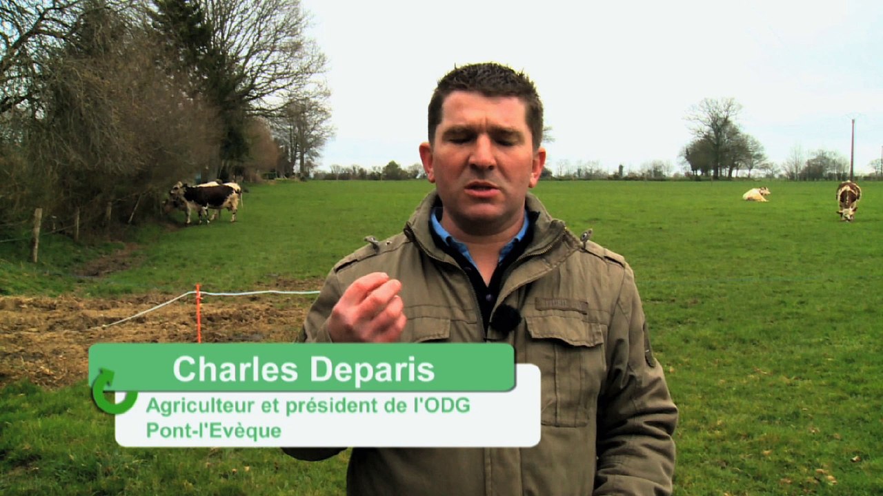 Un collectif pour avancer sur les techniques de prairies d'été