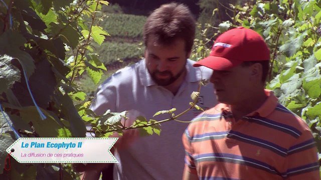 Les certificats d'économie de produits phytosanitaires