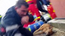 Romania, il pompiere salva il cane con il massaggio cardiaco e con la respirazione bocca a bocca
