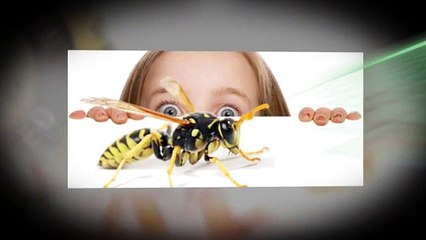 Environmental Friendly Rodent Control Services