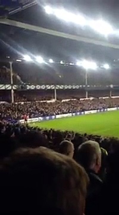 Everton fans reaction to the goal Ashley Williams / Everton vs Arsenal  2-1