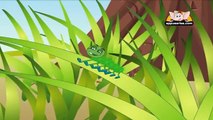 Nursery Rhyme - Caterpillar,Caterpillar