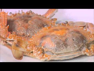 لابقية - سلاطة جمبري بالفاصوليا الحمراء | شبكة وصنارة حلقة كاملة