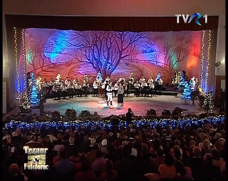 Orchestra Rapsodia Bihoreana ,dirijor profesor Liviu Butiu,Dan Dobos si Cornelia Ciobanu.