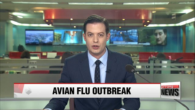 Gov't confirms low possibility for human infection of AI