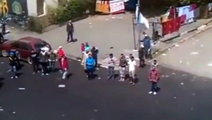 He throws stones at two dogs.