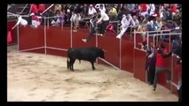 Amazing Bullfighting Festival - Bull Fighting Accidents - Funny Videos