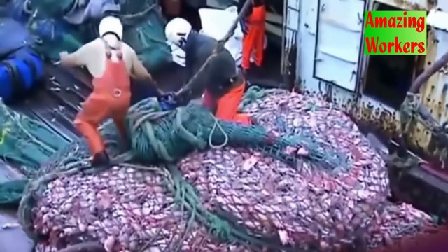 Amazing Skill FAST WORKERS GOD LEVEL COMPILATION #158 People Are Awesome 207 Oddly Satisfying Video