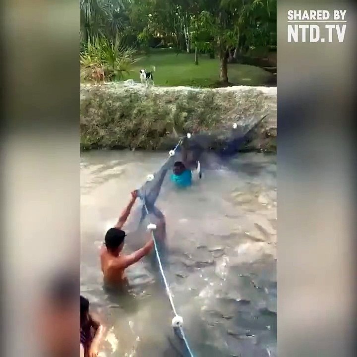 Fish Counter Attack very funny