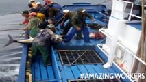 The Most Oddly Satisfying Video #121 People Are Awesome 2016, Fast Workers God Level Compilation