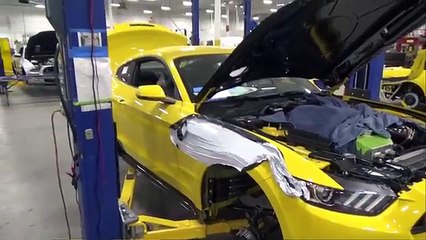 Ford Mustang, Shelby Mustang, Mustang Connection