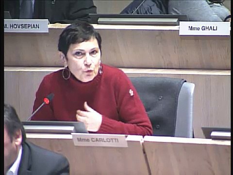 Accessibilité - Marie-Arlette Carlotti intervient sur la mise en place des ADAP