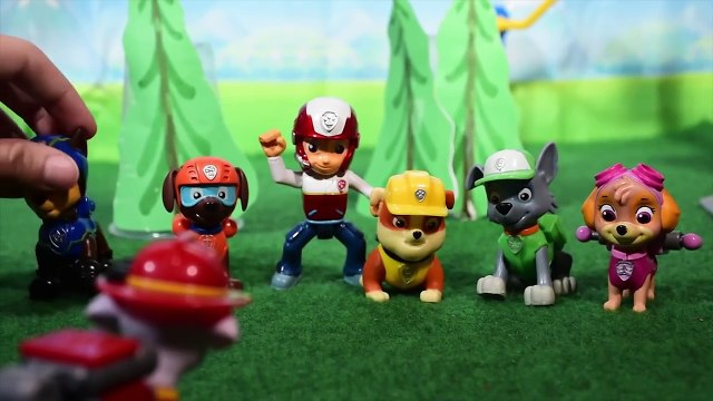 PATRULLA DE CACHORROS ✯ El entrenamiento de Marco ✯ Historias Patrulla de Cachorros en español