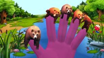 Bear Cartoons Singing Finger Family Nursery Rhymes for Children and Twinkle Twinkle Little Star