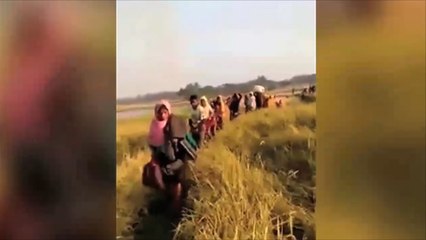 شبكة حقوقية: ما يحدث بأراكان يرقى لـ"جرائم ضد الإنسانية"