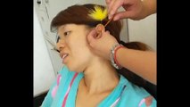 Chinese Ear Cleaning (42) Office Ear Cleaning Relaxation and Stress Relief