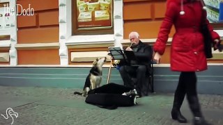Talented Dog Sings Along With Street Performer
