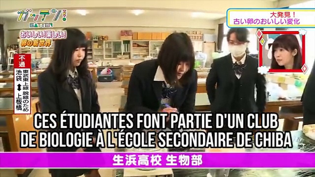 Faire naître un poussin en dehors de son œuf ? Possible !