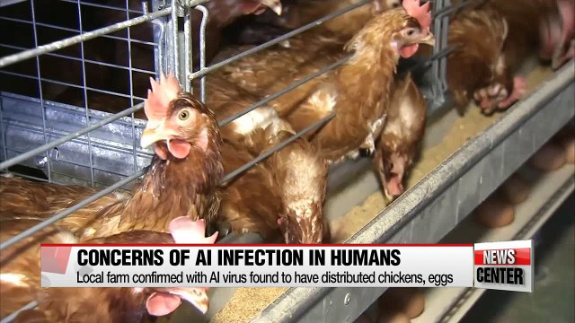 Gov't confirms low possibility for human infection of AI