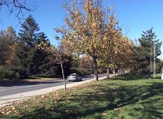 Bez zagađenja vazduha u Boru, 14. decembar 2016. (RTV Bor)