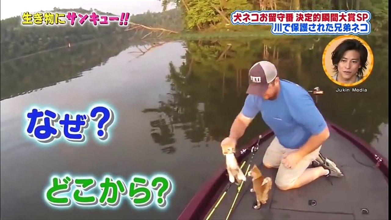 生き物にサンキュー! トコトン掘り下げ隊!! ネコのお留守番 2016年12月14日