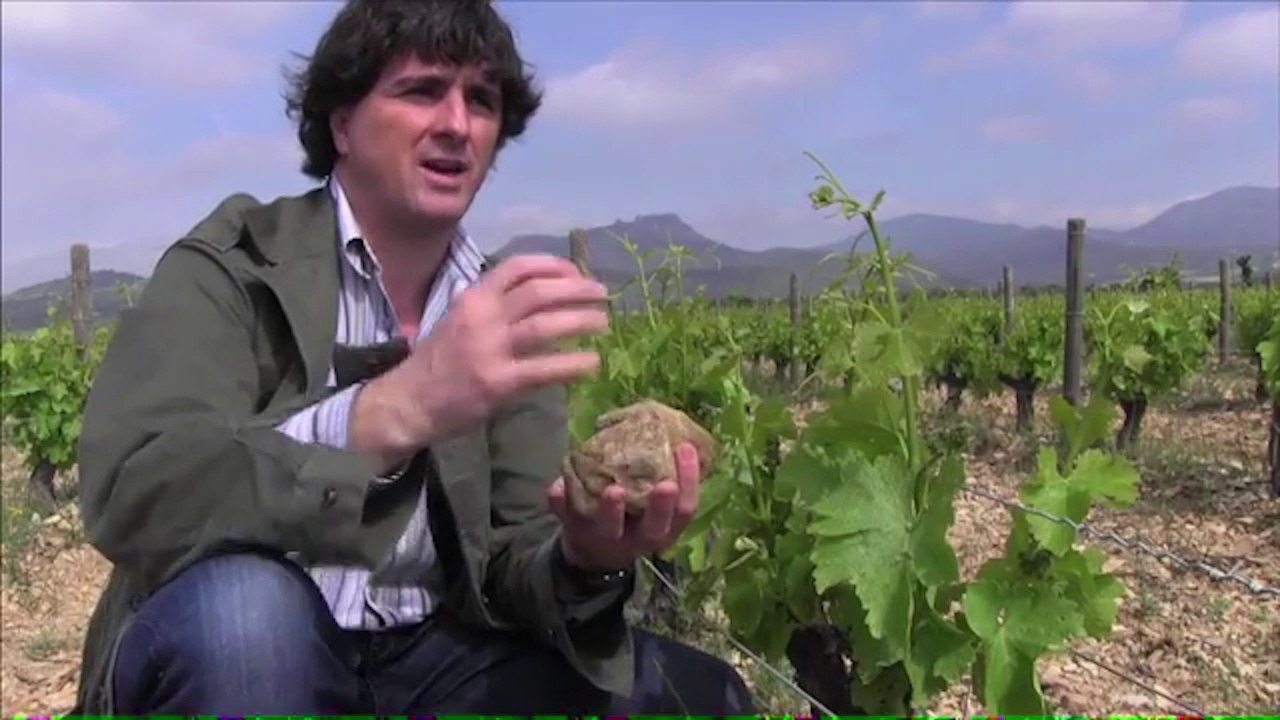 Insight into an organic winery