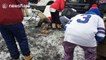 Buffalo Bills fan breaks leg jumping off car