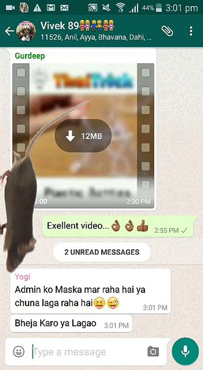 Rat funny in whatsapp  must watch