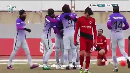 All Goals & Highlights HD - 24 Erzincanspor 1-1 Galatasaray - 14.12.2016