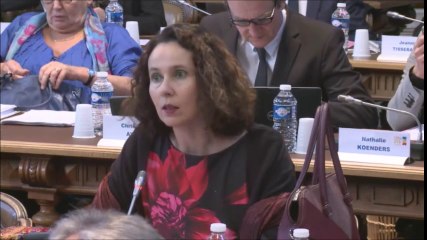 Sandrine HILY. Vote du voeu relatif au CETA. 12 décembre 2016