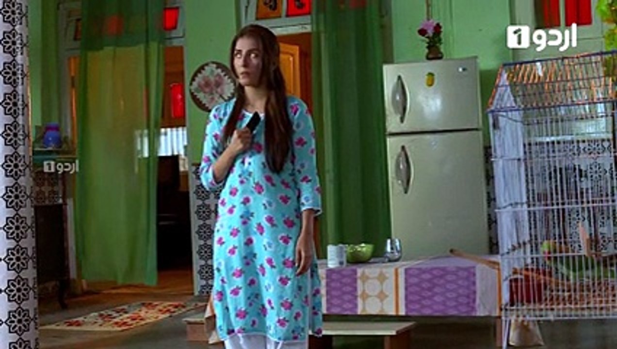 Shehrnaz Episode 7