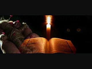 Punjab @))=bangalore+91-9928979713 Black magic removal in Islam IN BAHRAIN