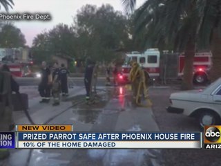 Prized parrot okay tonight after home catches on fire