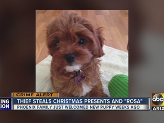 Family’s Christmas gifts, puppy stolen from home