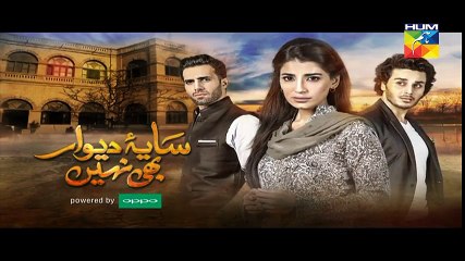 Saya e Dewar Bhi Nahi Episode 19 Promo HD HUM TV Drama 14 December 2016 - YouTube