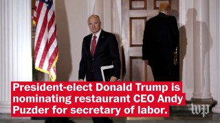 Trump's Transition: Who is Andy Puzder?
