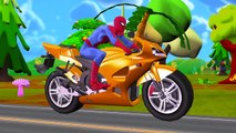Spiderman Cars Monster Truck Finger Family | Spiderman Driving Ambulance | Vehicles Finger Family