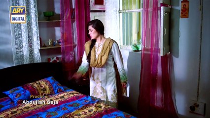 Watch Mein Mehru Hoon Episode 100 - on Ary Digital in High Quality 14th December 2016