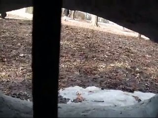 Captured Alive in the Arctic Circle - Strange Unknown Monster - Scorpion King