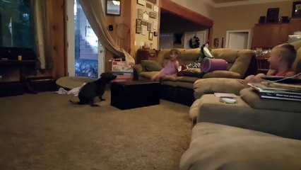 Funny Dog Loves To Make Kids Laugh