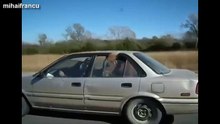 Top 10 Funny Horse Videos Compilation 2016