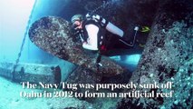 Sport Diver In The Field: Scuba Diving the Navy Tug in Oahu, Hawaii