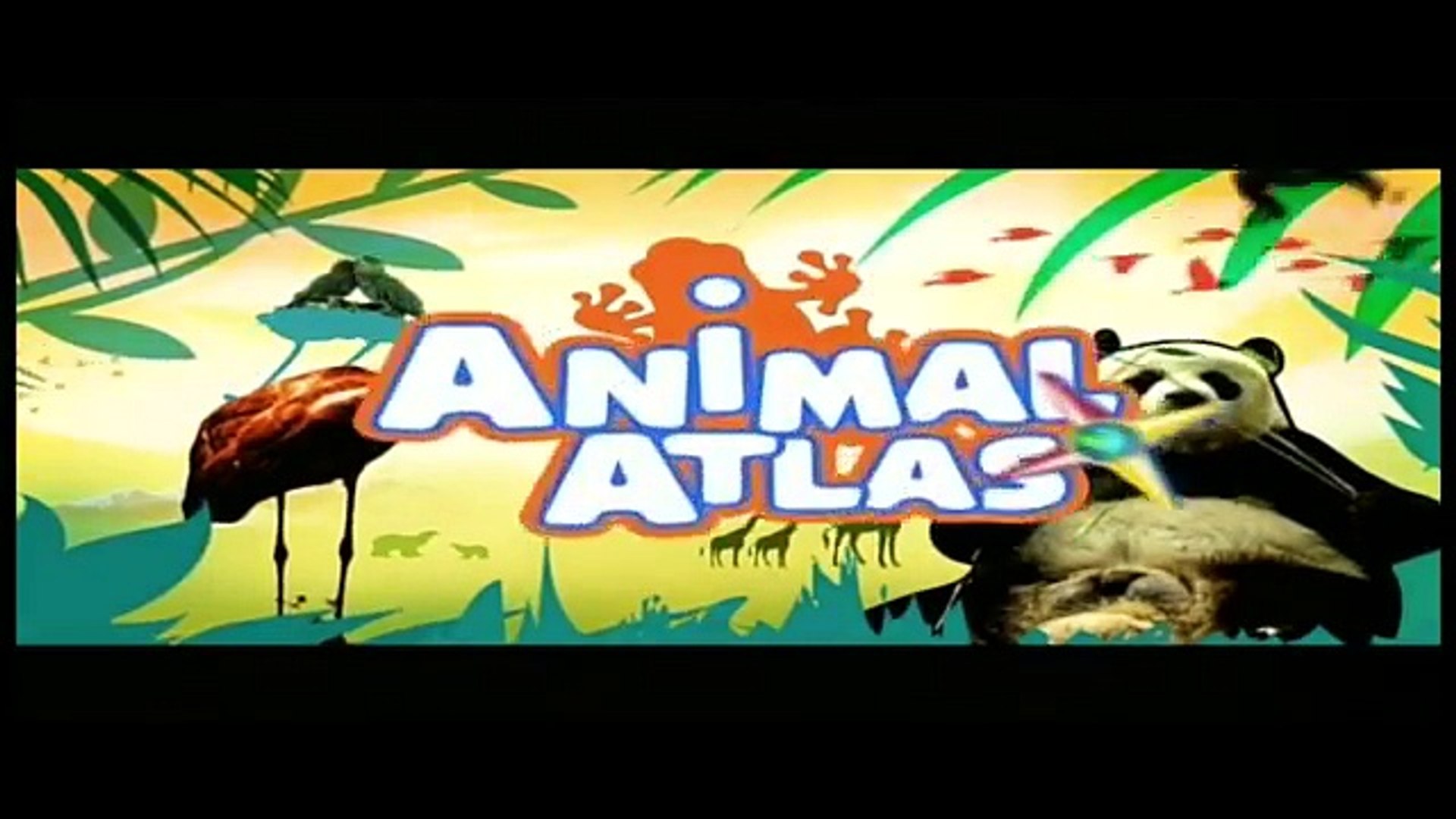 Top 173 + Animal atlas tv