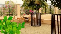 Documentary Bahria Town Wildlife, Bahria Zoo full length covered by PMS Property Management Services