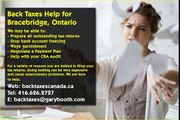 Bracebridge , Back Taxes Canada.ca , 416-626-2727 , taxes@garybooth.com _ CRA Audit, Tax Returns