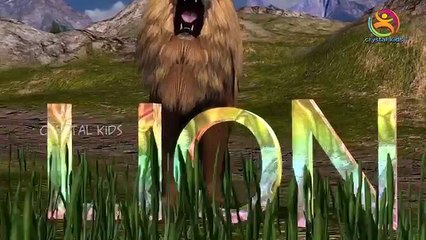 Animals finger family 3d rhymes | Wild Cartoon Zoo Forest Lion Tiger Nursery Kids Songs