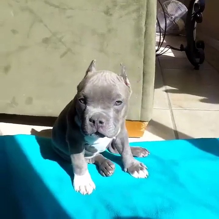 I just want to be his best mate