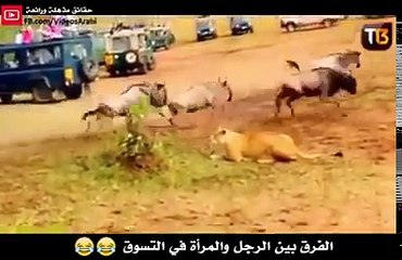 الفرق بين الرجل والمرأة في ‫ ‏التسوق‬ .. من وجهة نظر مختلفة جداااااا
