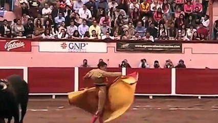 ثبات وبراعة من الماتادور - مصارعة الثيران