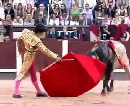 مقاطع جريئة وخطرة في مصارعة الثيران